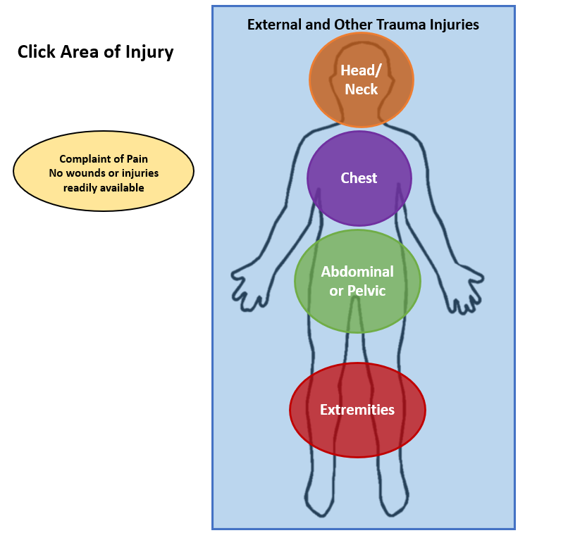 Image of injury decision aid for crash reporting interface